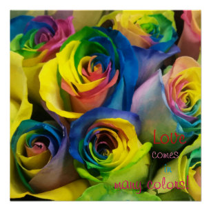 Love comes in many colours Rainbow Roses Poster