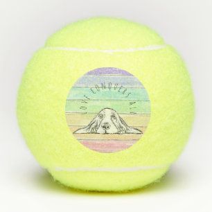 love conquers all dog rainbow basset hound   me tennis balls