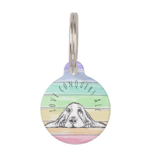 love conquers all dog rainbow basset hound pet tag
