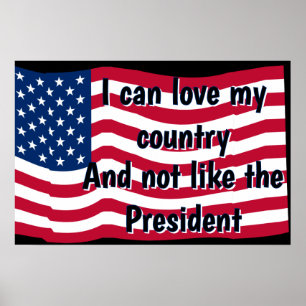 Love Country Not Presideent Poster