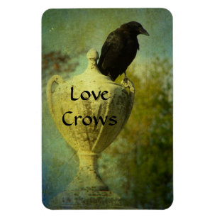Love Crows Magnet