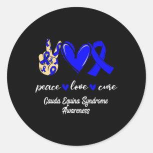 Love Cure Cauda Equina Syndrome Blue Awareness  Classic Round Sticker