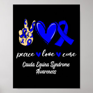 Love Cure Cauda Equina Syndrome Blue Awareness Poster