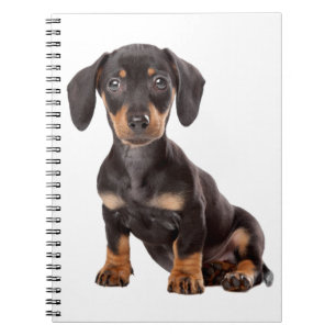 Love Dachshund Puppy Black & Tan Dog Notebook