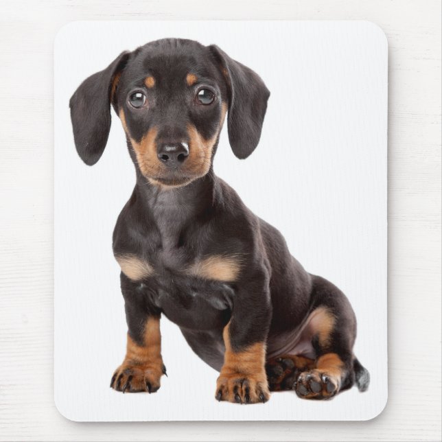 Love Dachshund Puppy Dog Computer Mousepad (Front)