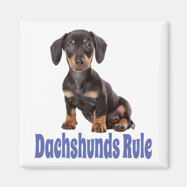 Love Dachshund Puppy Dog Fridge Magnet (Front)