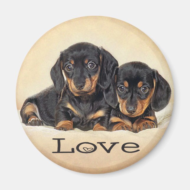 Love Dachshund Puppy Dog Fridge Magnet (Front)