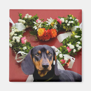 Love Dachsund magnet