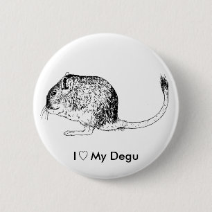Love Degus - Pins