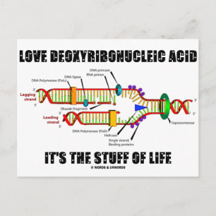 Love Deoxyribonucleic Acid It's The Stuff Of Life Postcard