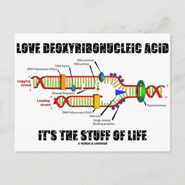 Love Deoxyribonucleic Acid It's The Stuff Of Life Postcard (Front)