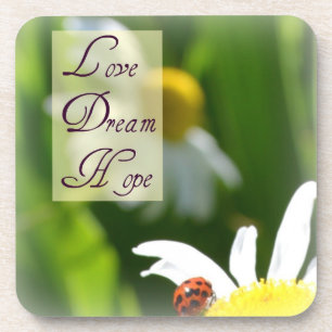 Love, Dream, Hope Ladybug Coaster Set