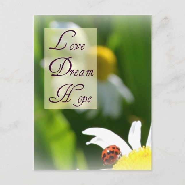 Love, Dream, Hope Ladybug Post Card (Front)