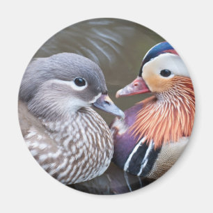 Love Ducks Magnet