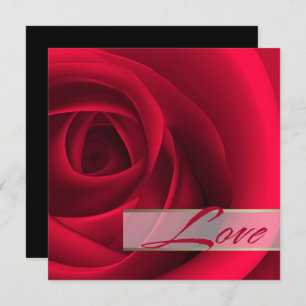 Love. Elegant Red Rose Valentine's Day Card