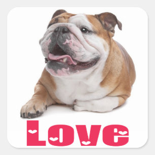 Love English Bulldog Puppy Dog Greeting Sticker