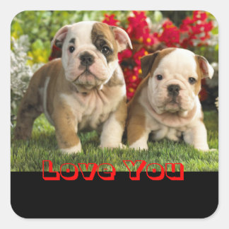 Love English Bulldog Puppy Dog Greeting Sticker