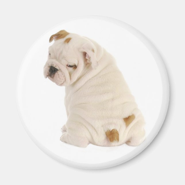 Love English Bulldog Puppy Dog Magnet (Front)