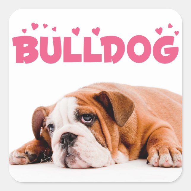 Love English Bulldog Puppy Dog Pink Hearts Sticker (Front)