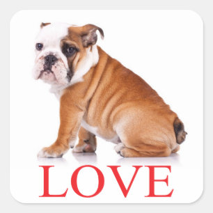 Love English Bulldog Puppy Dog Sticker / Seal