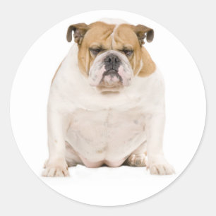 Love English Bulldog Puppy Dog Sticker / Seal