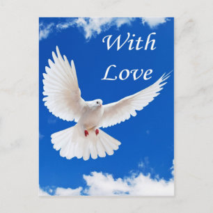 Love flies in postcard