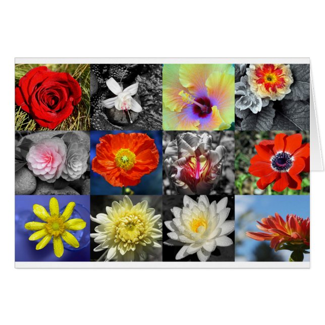 Love Flowers Photograph Collage (Front Horizontal)