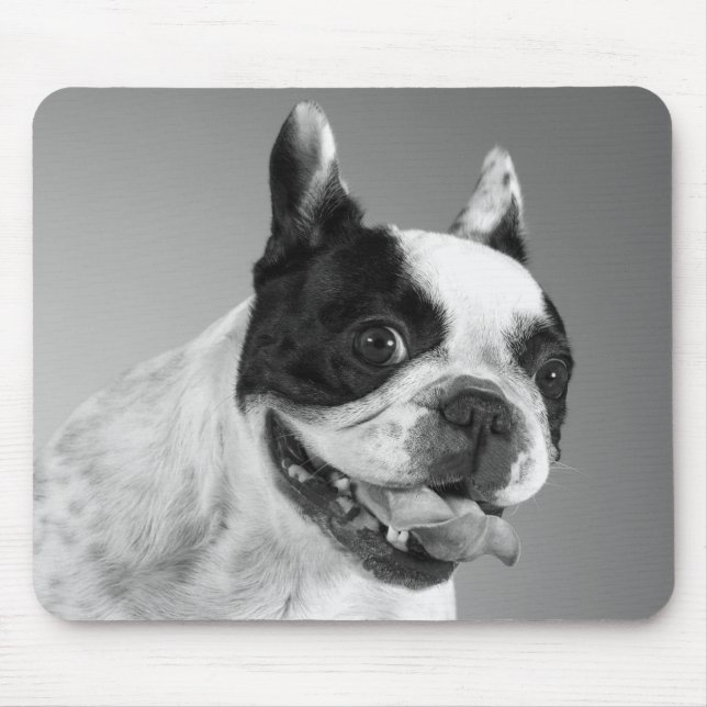 Love French Bulldog Puppy Dog Black And White Mouse Mat (Front)