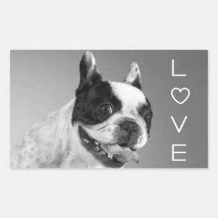 Love French Bulldog Puppy Dog Sticker / Seals