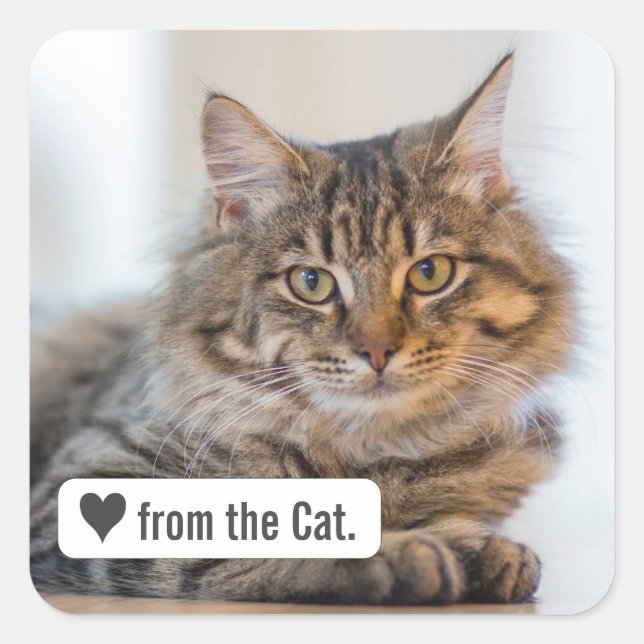 Love from Cat with Heart Square Envelope Sticker (Front)