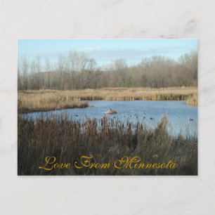 Love From Minnesota Postcard by Janz