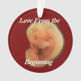 Love from the beginning  (Foetus) Acrylic Ornament