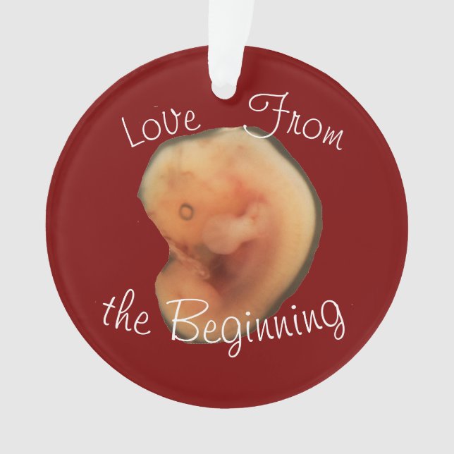 Love from the Beginning Ornament (Front)