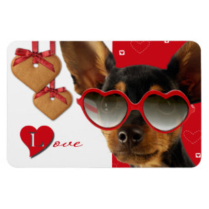 Love. Fun Valentine's Day Gift Magnet