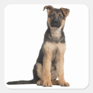 Love German Shepherd Puppy Dog Stickers