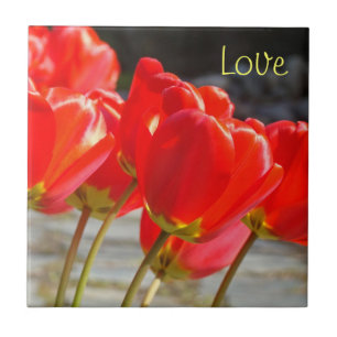 Love gifts Red Tulip Flowers Tile art Floral gift