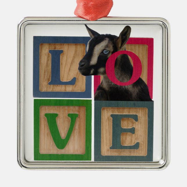 LOVE GOAT CHRISTMAS ORNAMENT BLUE EYES NIGERIAN DW (Front)