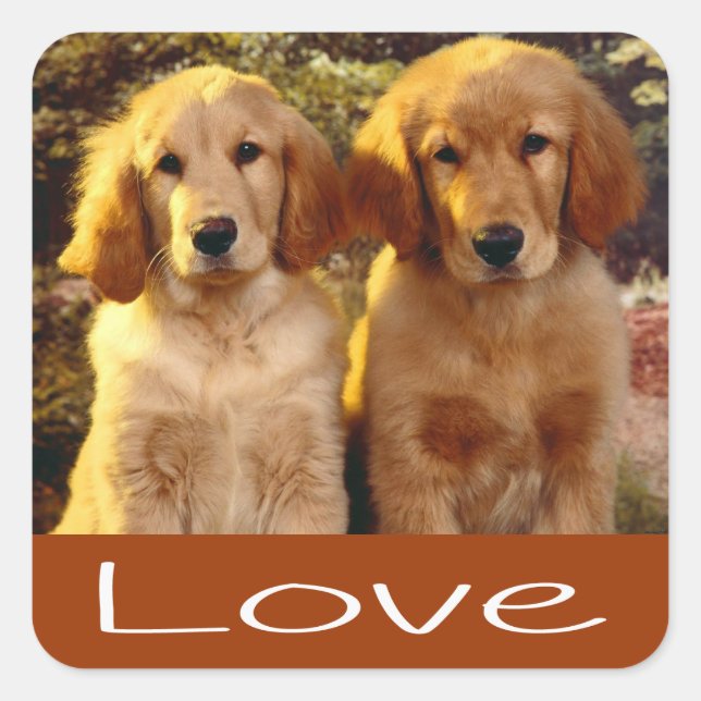 Love Golden Retriever Puppy Dog Brown Stickers (Front)