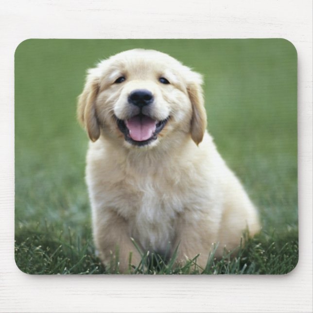 Love Golden Retriever Puppy Dog Green Grass Mouse Mat (Front)