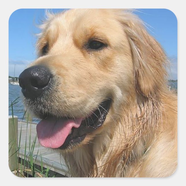 Love Golden Retriever Puppy Dog Stickers (Front)