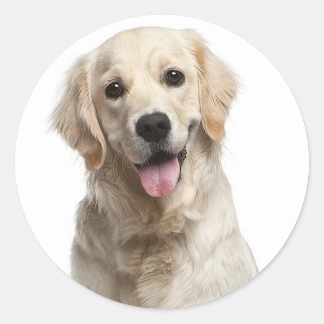 Love Golden Retriever Puppy Dog Stickers (Front)