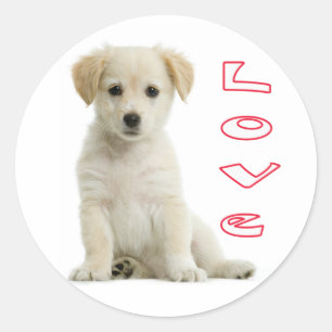 Love Golden Retriever Puppy Dog Stickers