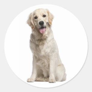 Love Golden Retriever Puppy Dog Stickers