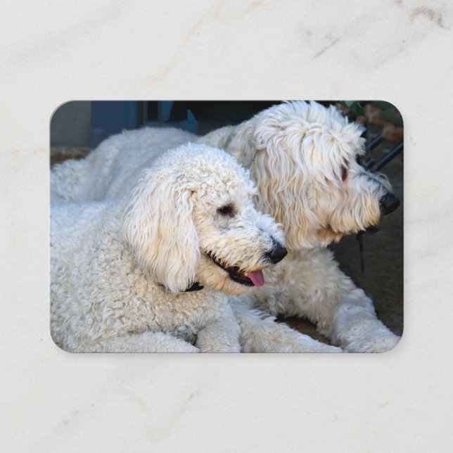 Love Goldendoodles Business Card (Front)
