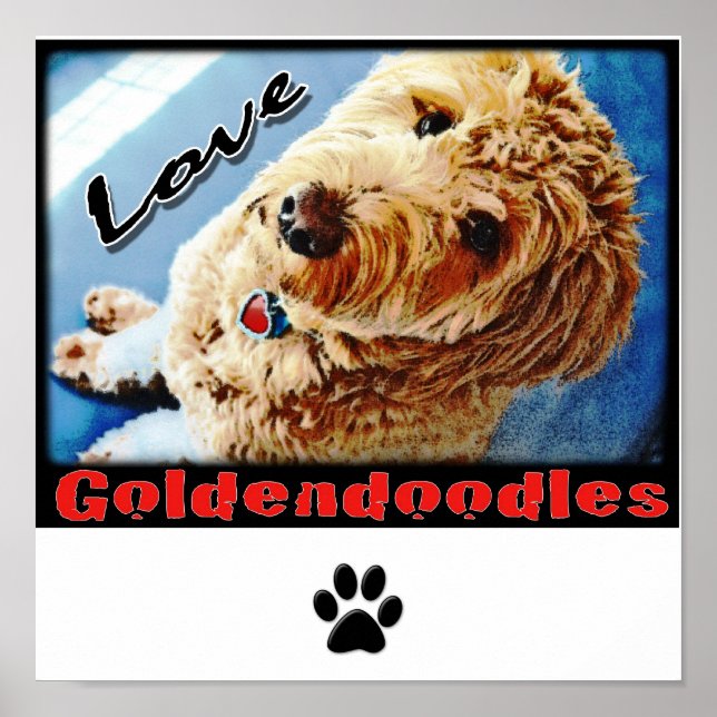 Love Goldendoodles Poster (Front)