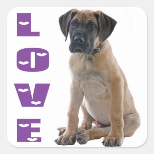 Love Great Dane Puppy Dog Sticker / Seal
