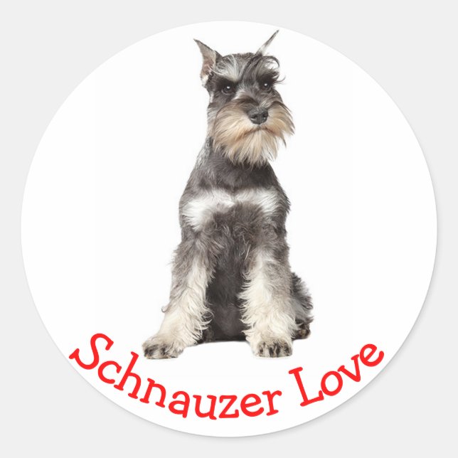 Love Grey Schnauzer Puppy Dog Sticker (Front)