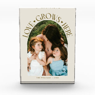 Love Grows Here Modern Arch Cream Photo Block
