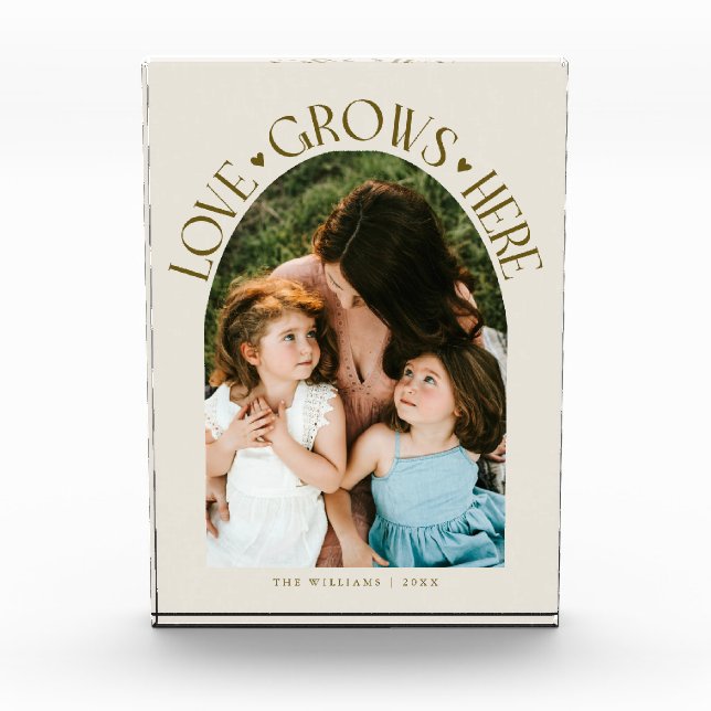 Love Grows Here Modern Arch Cream Photo Block (Front)