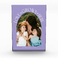 Love Grows Here Modern Arch Lilac